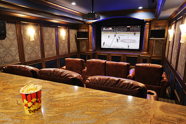 home theatre hockey